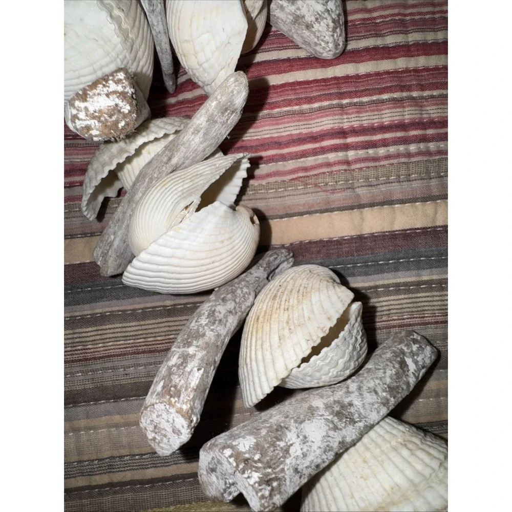 Vtg Painted Driftwood (Faux Maybe) Shell Garland Beachhouse Cottage Lake Bay